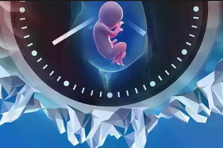 孕妈代妈应聘机构